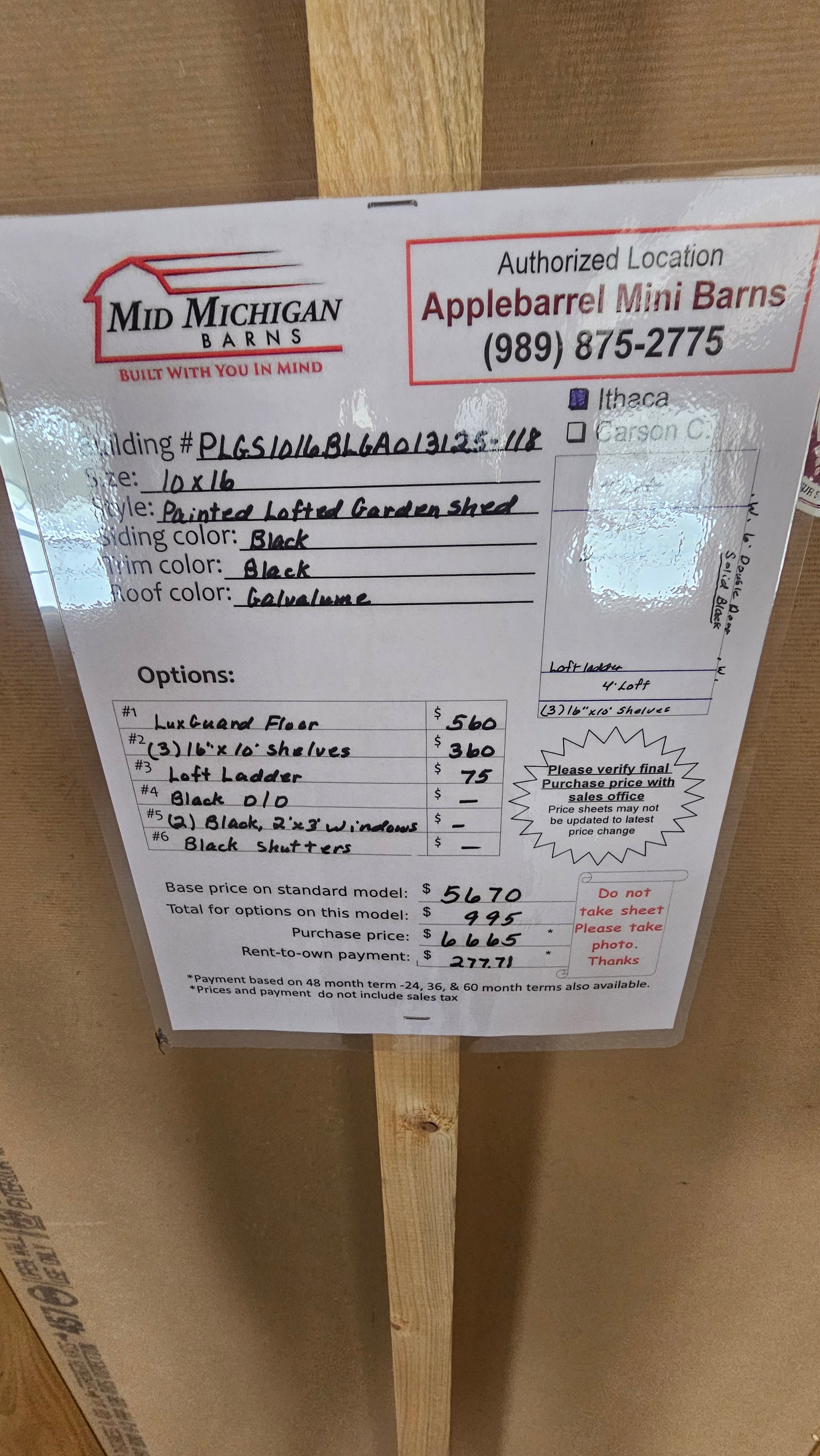 Painted Lofted Garden Shed 10x16