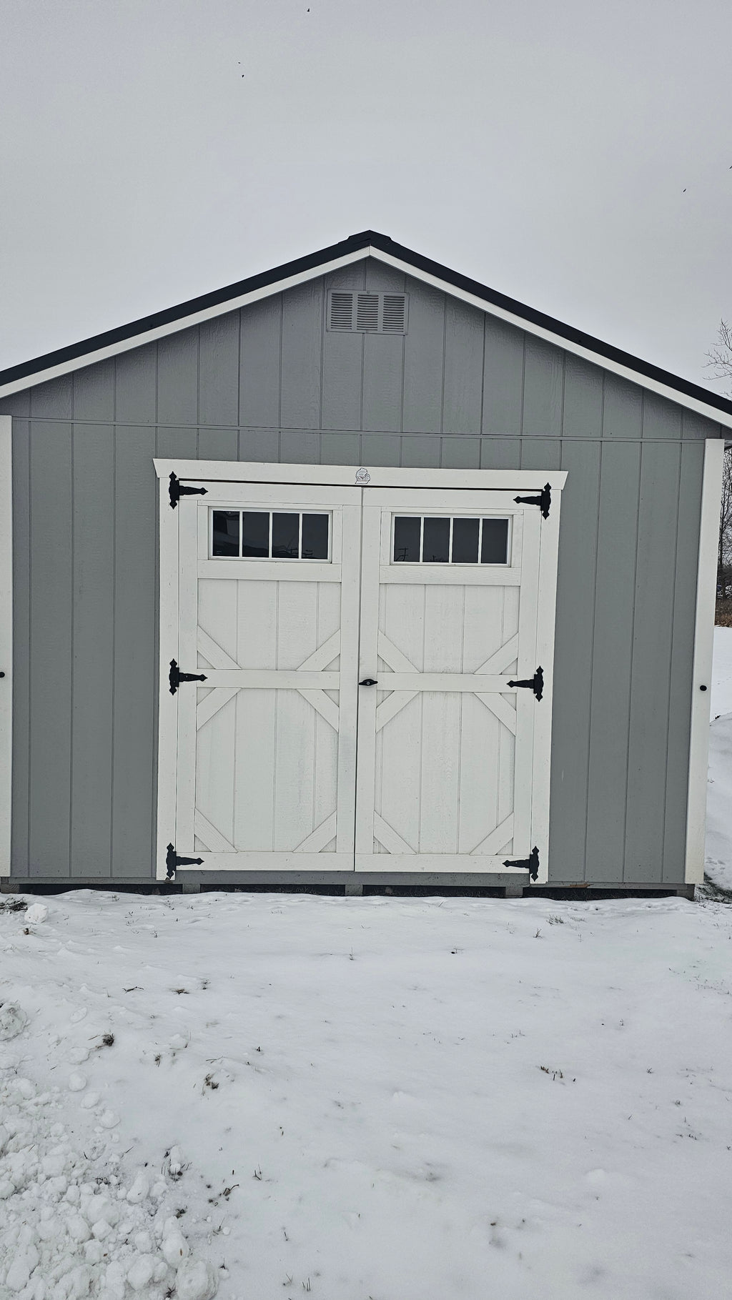 Painted Gable Shed